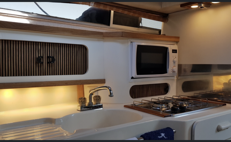 Sea Ray 290 SDA-kuva-8